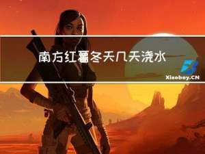 南方红薯冬天几天浇水啊