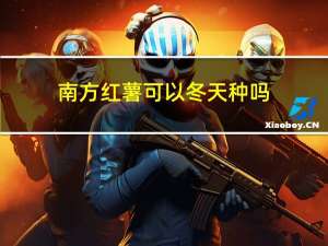南方红薯可以冬天种吗
