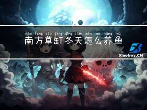 南方草缸冬天怎么养鱼