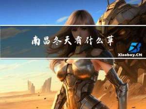 南昌冬天有什么草