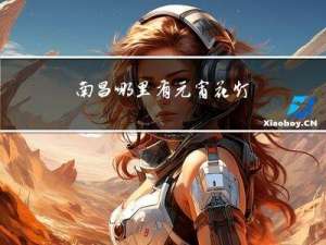 南昌哪里有元宵花灯