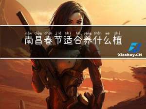 南昌春节适合养什么植物