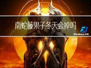 南蛇藤果子冬天会掉吗