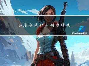 南通冬天什么树绿得快