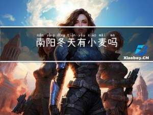 南阳冬天有小麦吗