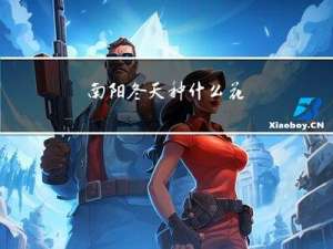 南阳冬天种什么花