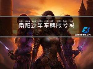 南阳过年车牌限号吗
