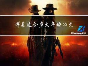 博美适合多大年龄的犬狗