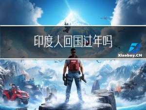 印度人回国过年吗