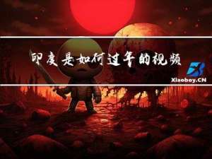 印度是如何过年的视频