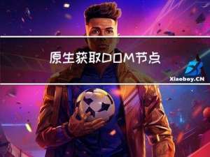 原生获取DOM节点