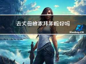 去丈母娘家拜年啦好吗