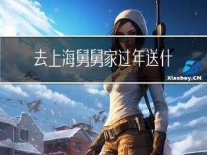 去上海舅舅家过年送什么