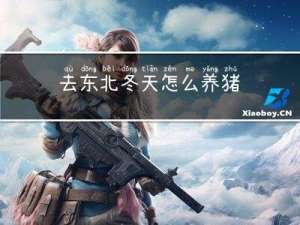 去东北冬天怎么养猪