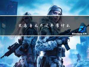 去乌鲁木齐过年带什么礼物
