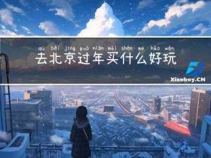 去北京过年买什么好玩的