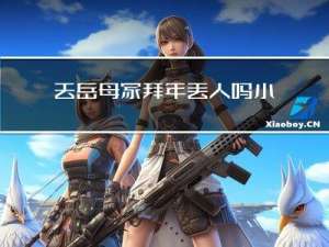 去岳母家拜年丢人吗小说