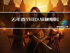 去年春节可以放鞭炮吗