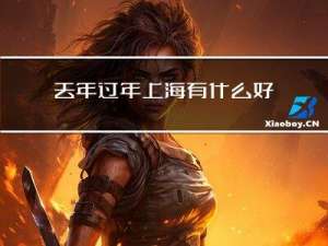 去年过年上海有什么好玩的