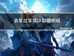 去年过年可以放烟花吗吗