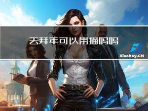 去拜年可以带猫吗吗