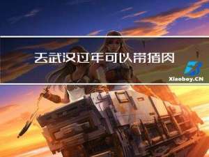 去武汉过年可以带猪肉吗
