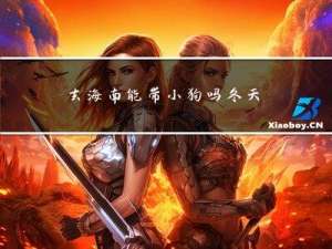 去海南能带小狗吗冬天