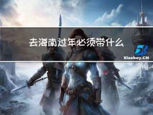 去海南过年必须带什么吃的