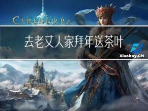 去老丈人家拜年送茶叶好吗