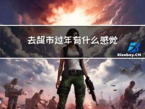 去超市过年有什么感觉作文