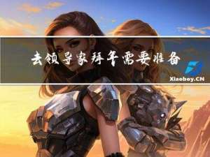 去领导家拜年需要准备什么