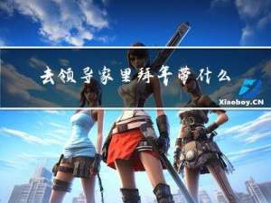 去领导家里拜年带什么好