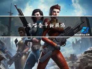 友唱春节能用吗