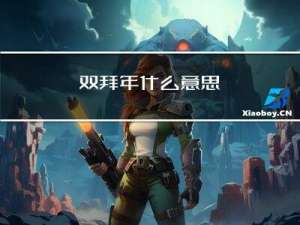 双拜年什么意思