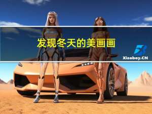 发现冬天的美画画