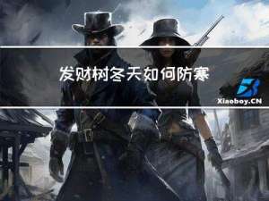 发财树冬天如何防寒