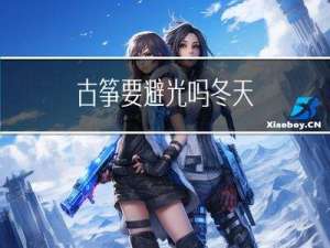 古筝要避光吗冬天