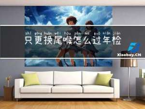 只更换尾喉怎么过年检