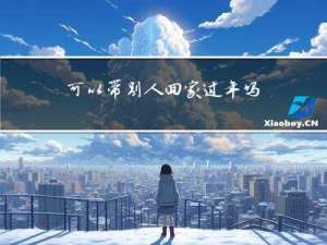 可以带别人回家过年吗英文