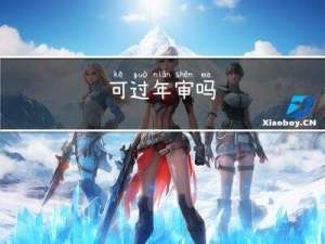 可过年审吗