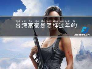 台湾富豪是怎样过年的电影