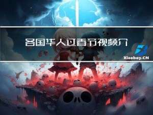 各国华人过春节视频介绍