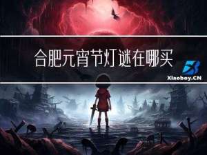 合肥元宵节灯谜在哪买