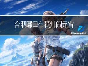 合肥哪里有花灯闹元宵作文