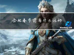 合肥春节前有什么活动