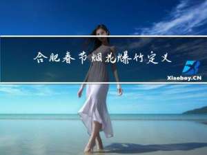 合肥春节烟花爆竹定义标准