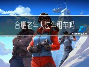 合肥老年人过年租车吗