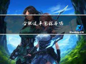 合肥过年包粽子吗