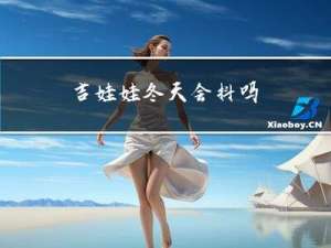 吉娃娃冬天会抖吗
