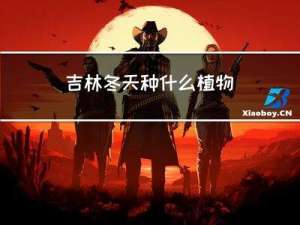 吉林冬天种什么植物